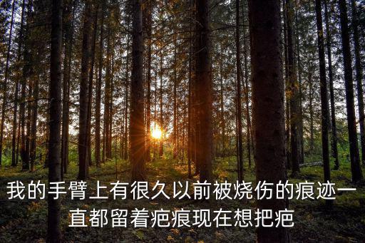 我的手臂上有很久以前被燒傷的痕跡一直都留著疤痕現在想把疤