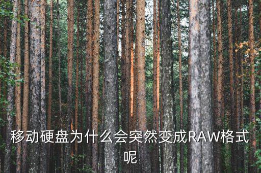 移動硬盤為什么會突然變成RAW格式呢