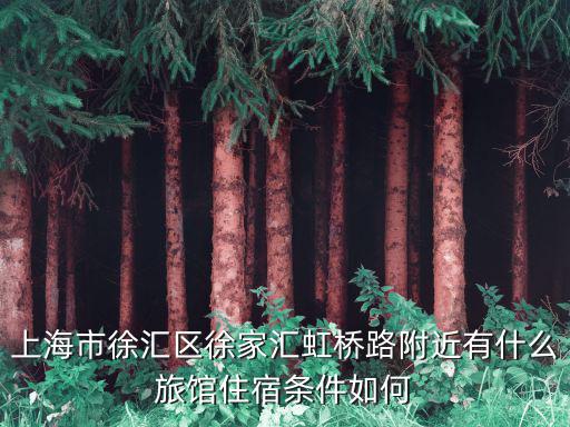 上海市徐匯區(qū)徐家匯虹橋路附近有什么旅館住宿條件如何