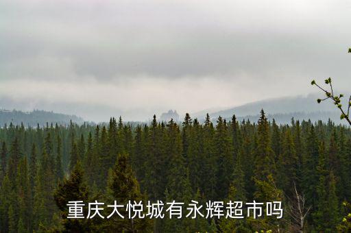 重慶大悅城有永輝超市嗎