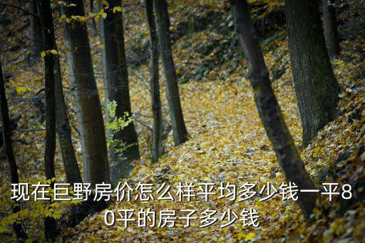 現(xiàn)在巨野房?jī)r(jià)怎么樣平均多少錢一平80平的房子多少錢
