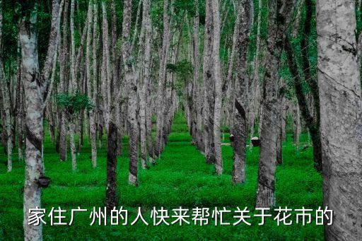 廣州黃埔花市感染群眾，家住廣州的人快來幫忙關(guān)于花市的