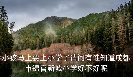 小孩馬上要上小學(xué)了請(qǐng)問有誰知道成都市錦官新城小學(xué)好不好呢