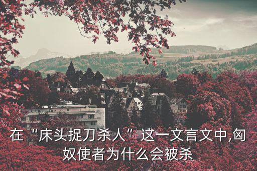 在“床頭捉刀殺人”這一文言文中,匈奴使者為什么會被殺