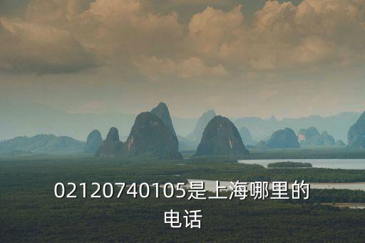 接到上海市政府服務(wù)熱線，02120740105是上海哪里的電話