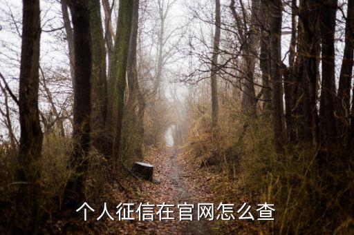 個(gè)人征信在官網(wǎng)怎么查