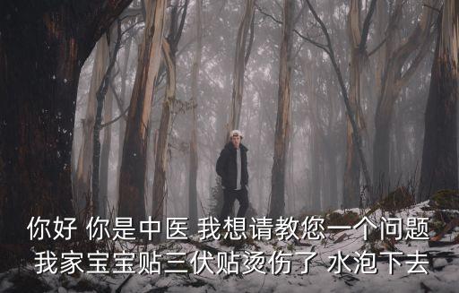 你好 你是中醫 我想請教您一個問題 我家寶寶貼三伏貼燙傷了 水泡下去