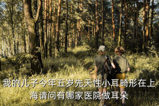 我的兒子今年五歲先天性小耳畸形在上海請問有哪家醫院做耳朵
