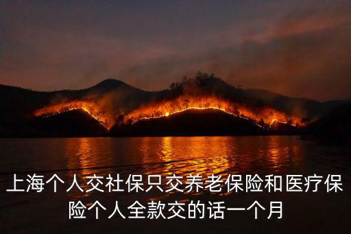 上海個人交社保只交養老保險和醫療保險個人全款交的話一個月