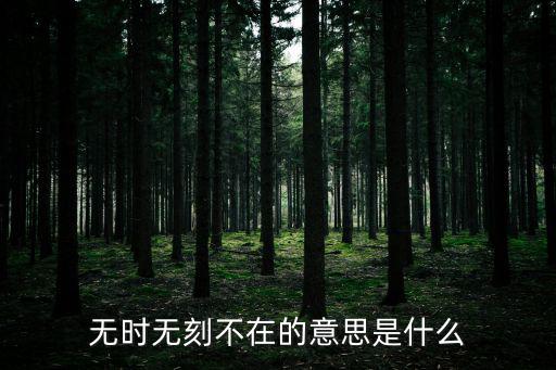無時無刻不在的意思是什么
