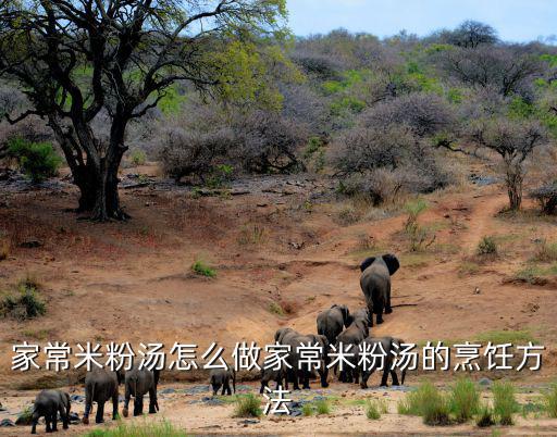 家常米粉湯怎么做家常米粉湯的烹飪方法