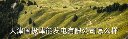 天津國投津能發(fā)電有限公司怎么樣