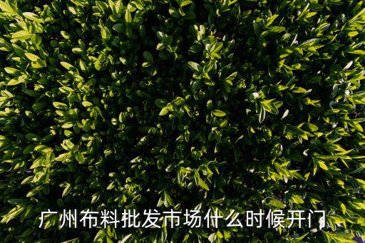 廣州布料批發市場什么時候開門
