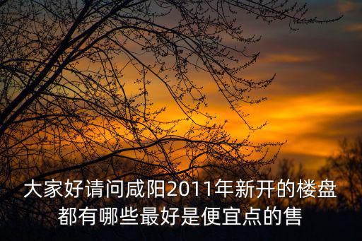 大家好請問咸陽2011年新開的樓盤都有哪些最好是便宜點的售