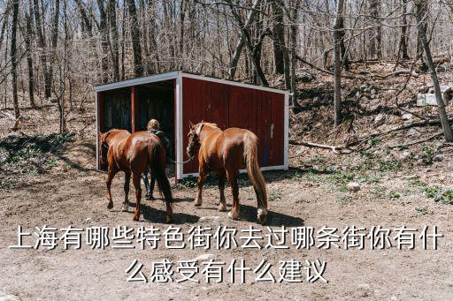 上海有哪些特色街你去過哪條街你有什么感受有什么建議