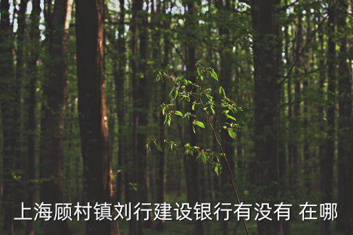 上海市寶山區顧村鎮劉行村，上海市寶山區劉行到顧村鎮水產西路富長路綠地石窟門怎么走