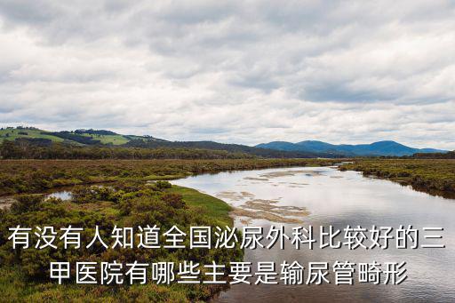 有沒有人知道全國泌尿外科比較好的三甲醫院有哪些主要是輸尿管畸形