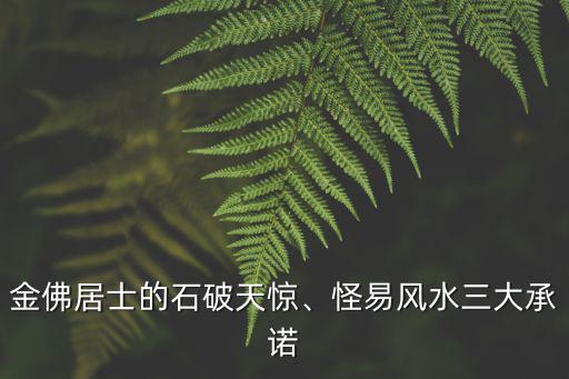 金佛居士的石破天驚、怪易風(fēng)水三大承諾