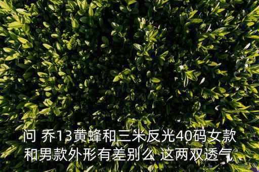 問 喬13黃蜂和三米反光40碼女款和男款外形有差別么 這兩雙透氣