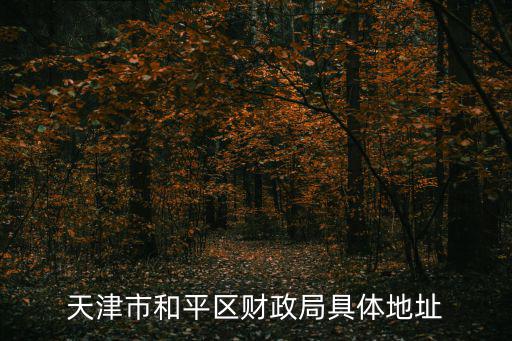 天津市和平區國稅局辦事大廳，天津和平區地稅管理二所在什么地方我想去交稅