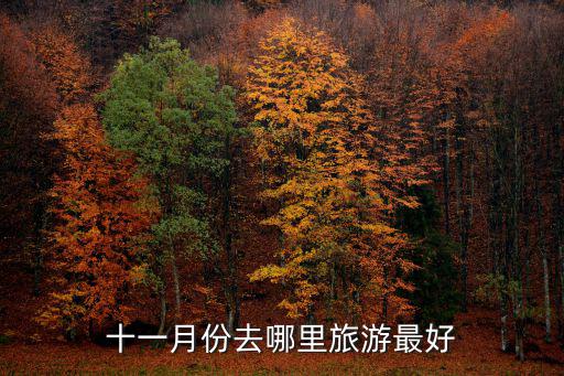 十一月份去哪里旅游最好