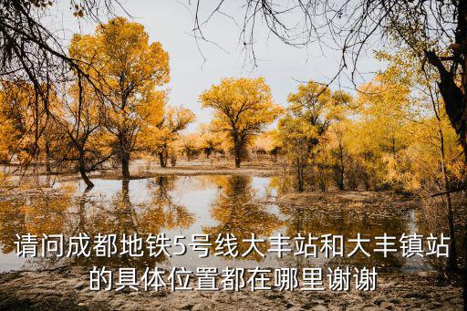 請問成都地鐵5號線大豐站和大豐鎮站的具體位置都在哪里謝謝