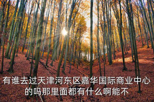 有誰去過天津河東區嘉華國際商業中心的嗎那里面都有什么啊能不