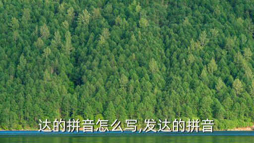 達的拼音怎么寫,發達的拼音