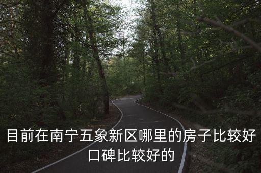 目前在南寧五象新區(qū)哪里的房子比較好口碑比較好的