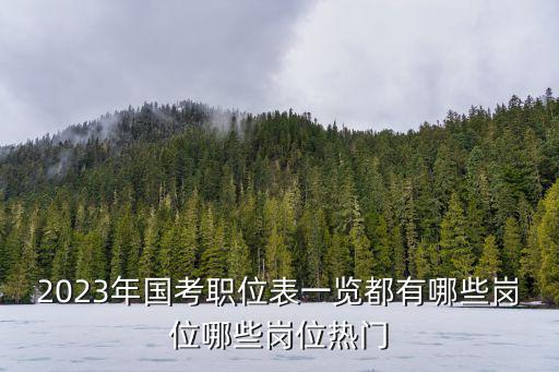 2023年國考職位表一覽都有哪些崗位哪些崗位熱門