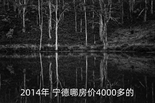 2014年 寧德哪房價4000多的