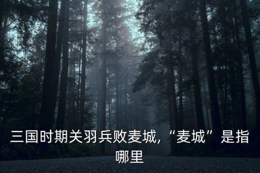 關云長敗走麥城,徐晃用計大破關羽軍隊關云長敗走麥城