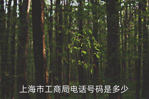 上海市工商局電話號碼是多少