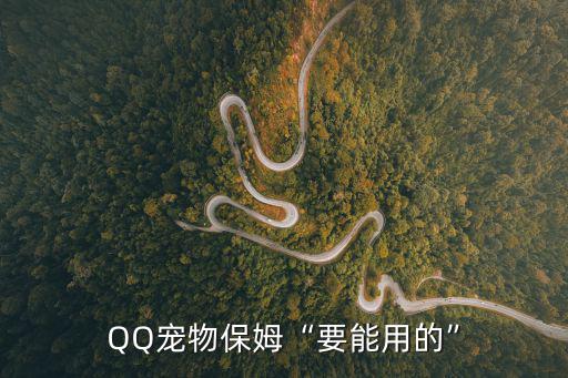 QQ寵物保姆“要能用的”