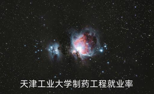 天津工業大學制藥工程就業率