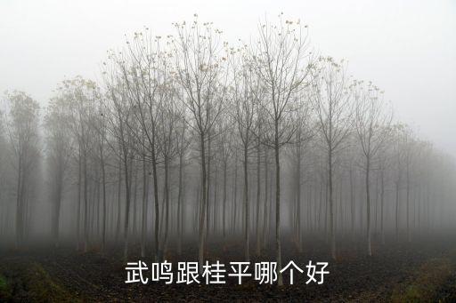 桂平哪個城市房價最好，貴港和桂平那里的房價會更保值些