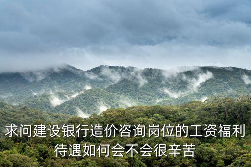 求問建設銀行造價咨詢崗位的工資福利待遇如何會不會很辛苦