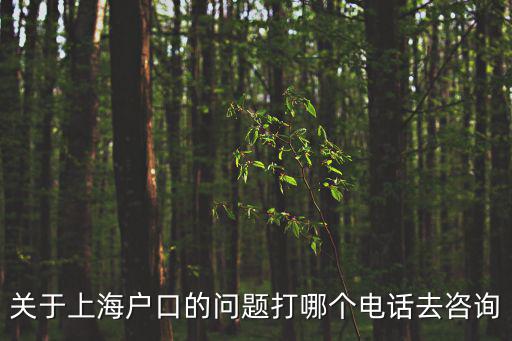 上海戶籍咨詢電話，關于上海戶口的問題打哪個電話去咨詢