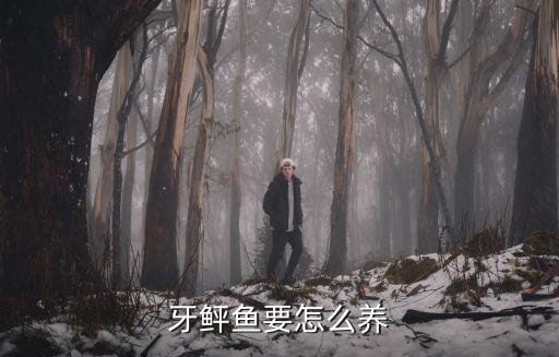 牙鲆魚要怎么養