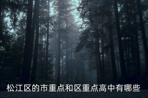 松江區的市重點和區重點高中有哪些