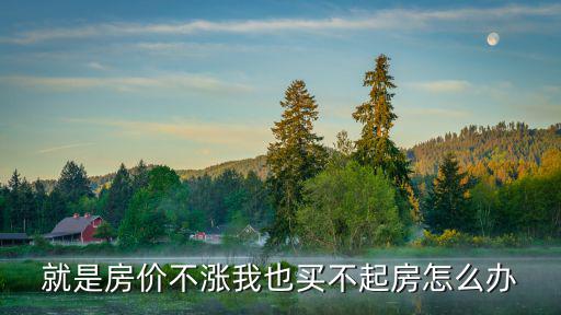 就是房?jī)r(jià)不漲我也買不起房怎么辦