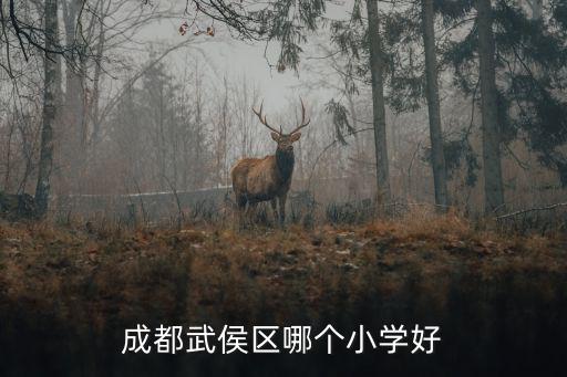 成都武侯區(qū)哪個(gè)小學(xué)好