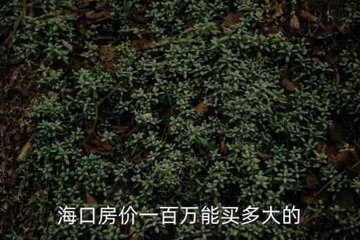 海口哪個縣房價最高，海口房價一百萬能買多大的