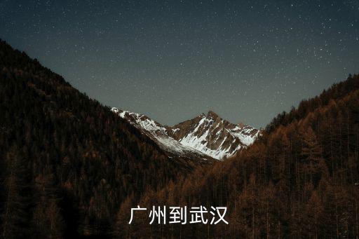 廣州路過武漢不，從廣州做火車到山東要經過武漢嗎
