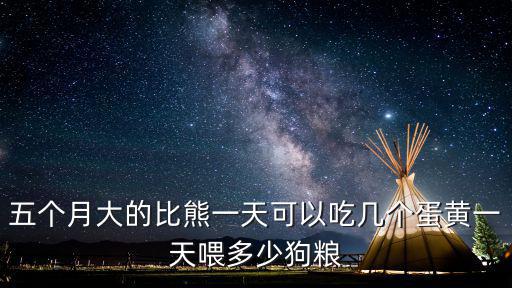五個(gè)月大的比熊一天可以吃幾個(gè)蛋黃一天喂多少狗糧