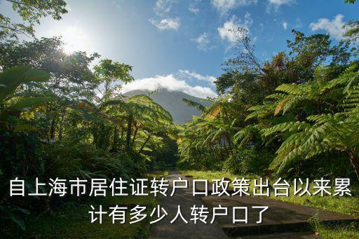 自上海市居住證轉戶口政策出臺以來累計有多少人轉戶口了