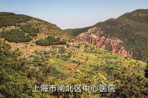 上海市閘北區中心醫院