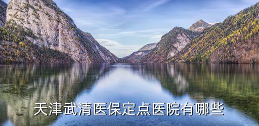 天津武清醫保定點醫院有哪些