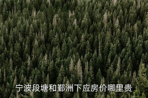 寧波段塘和鄞洲下應房價哪里貴