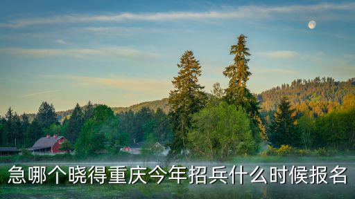 急哪個曉得重慶今年招兵什么時候報名